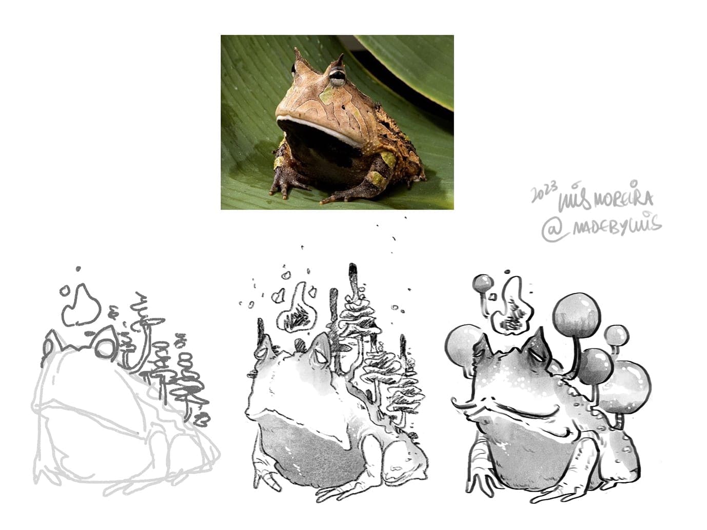 Mushroom Society (5 of 7)