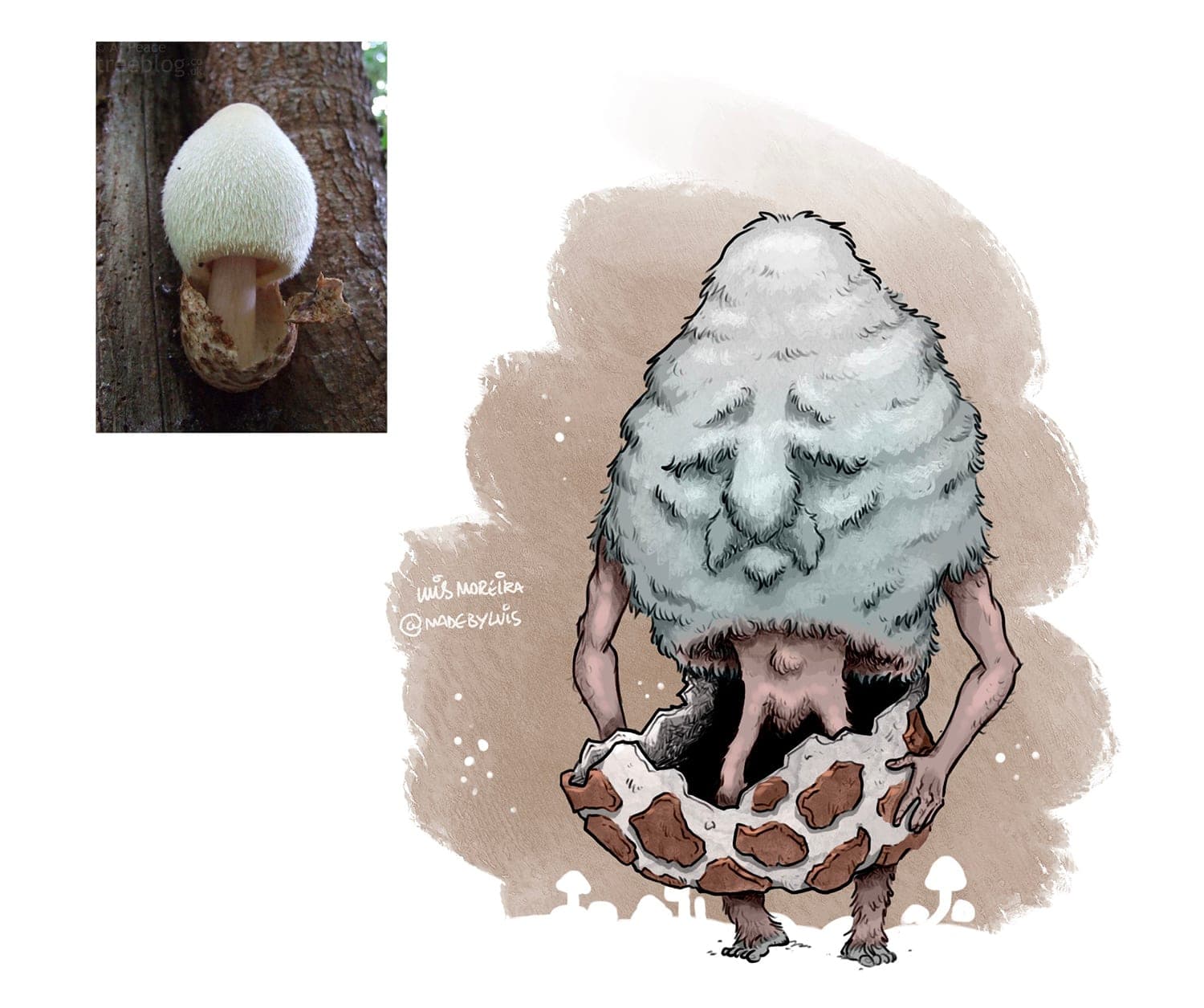 Mushroom Society (7 of 7)