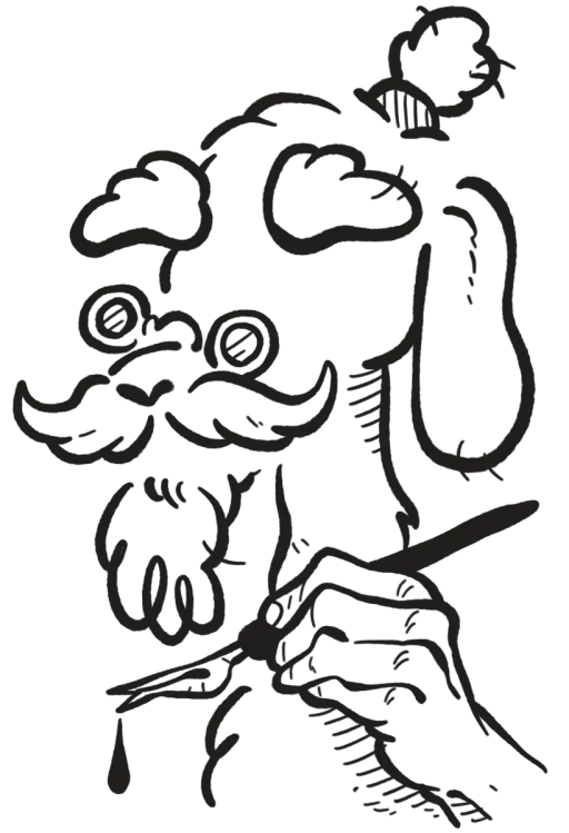 Illustration